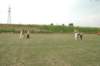 dsc_5759_small.jpg